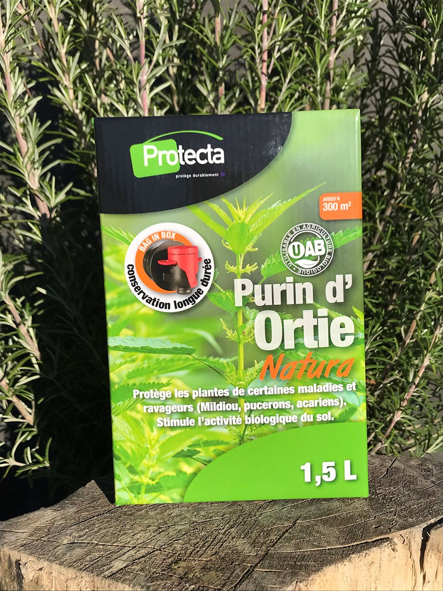 Purin D’Ortie Anti Pucerons _ Purin d’ortie : tout savoir cet engrais ...